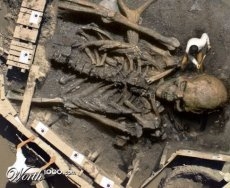 biggest human skeleton, human skeleton