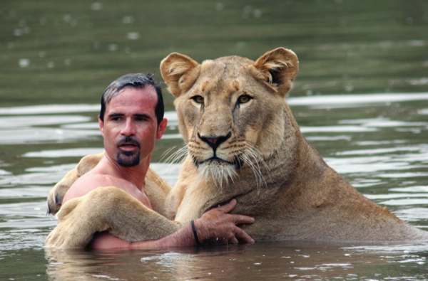 men with lions, Kevin Richardson, animal behavior, playing with lions, lion