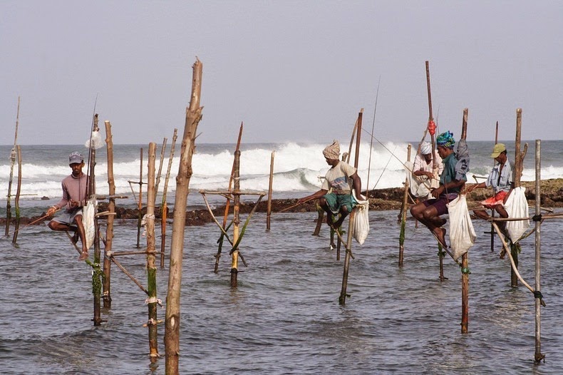sri lanka, Stilt Fishermen, dying tradition, unawatuna, weligama, travel