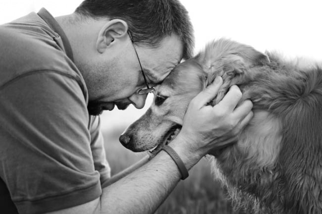 dog, human & dog, photos, animal, men with dog, love, photographs, dog with owner, cute, sweet, lol