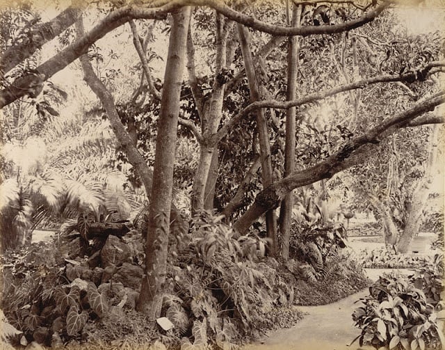 a park in Bangalore 1902