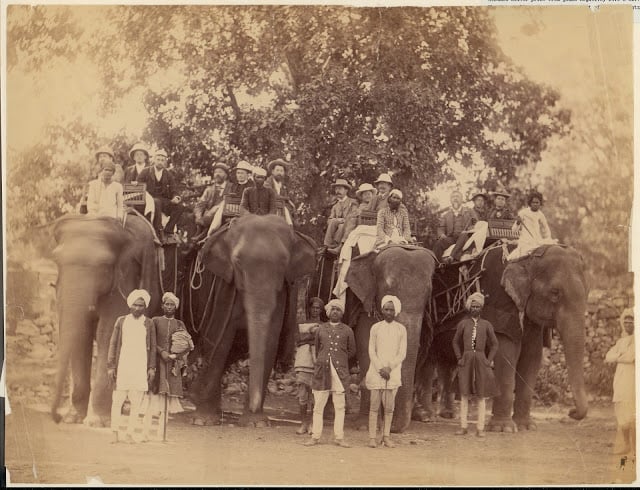 Four Elephants with Western Travellers and Attendants, Jaipur, India - 1860s-70's