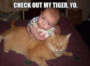 FUNNY PHOTOS, FUNNY BABY PHOTOS, MEMES, PHOTOBOMBS, FUNNY BABY PICS, THE FUNNIEST BABY MEMES, THE MOST INTERESTING BABY IN THE WORLD