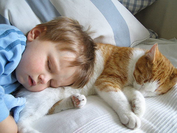 baby, babies, cat with kids, cat with baby, cat, animal, awesome, cool, omg, sweet, cuttest cat, cat photo, cat images