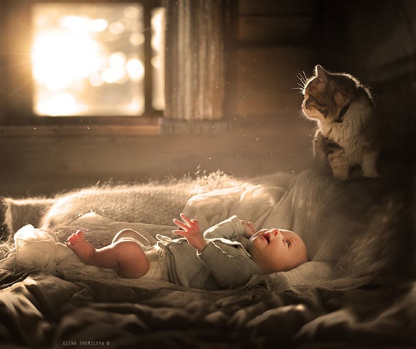 baby, babies, cat with kids, cat with baby, cat, animal, awesome, cool, omg, sweet, cuttest cat, cat photo, cat images