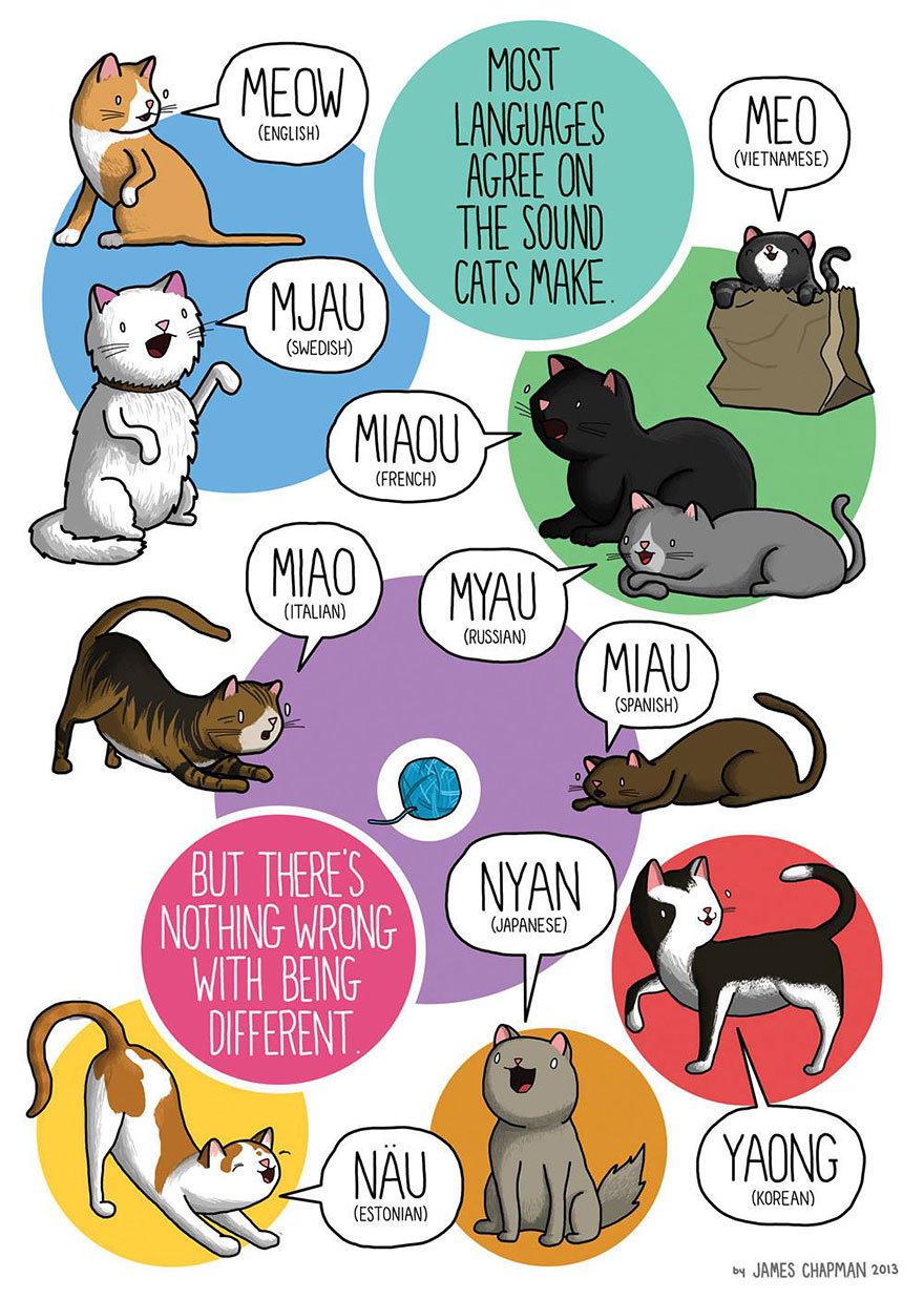Cats Meow in Other Languages