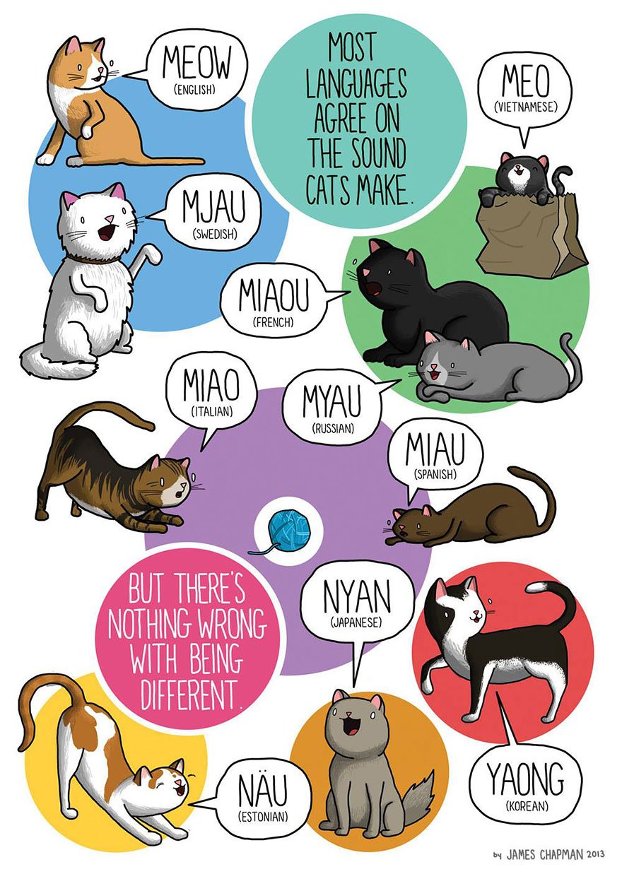 cat meaow in different languages