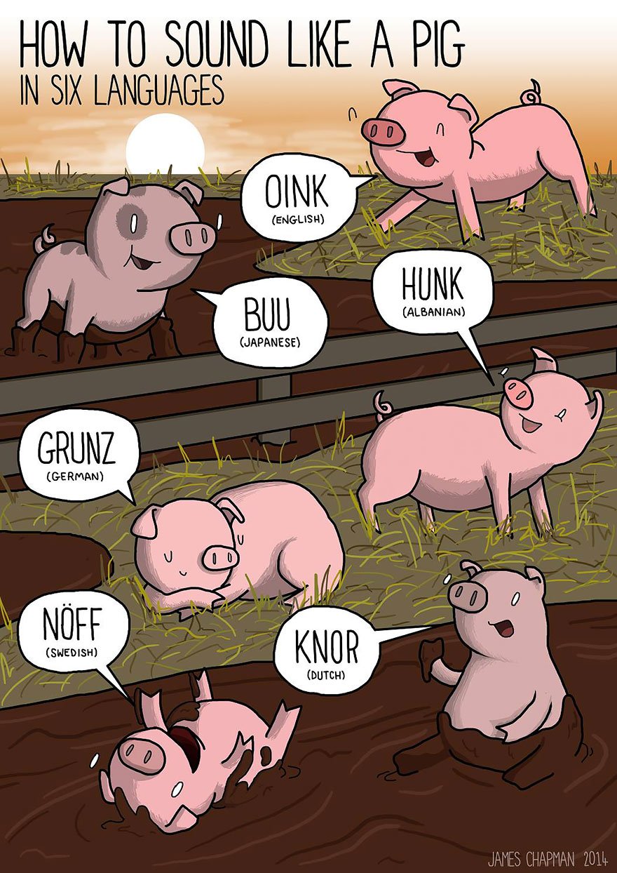 pig growl in different languages