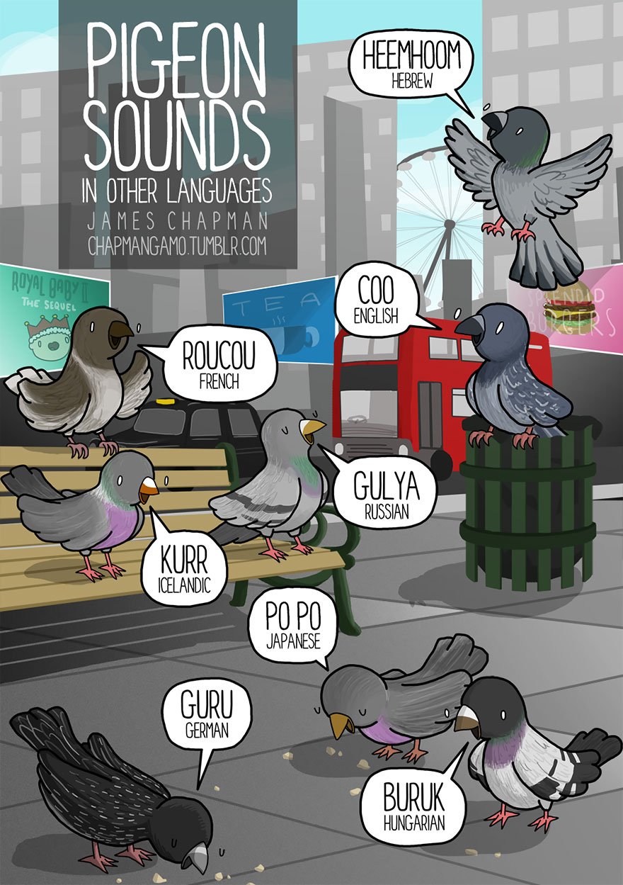 Bird sounds heard in other languages