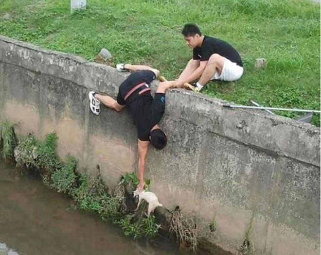 25 Touching Photos of People Saving Animals Faith In Humanity