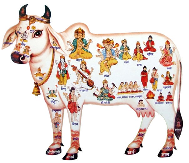 samudra manthan , samudra manthan story , samudra manthan hindi story, amrit mathan , kumbh mela, hindu dharma , pauranik kathaye, hindu mythology, hindu mythology in hindi, 14 ratna , ratna during samudra manthan , focus on your goals, hindu mythology, hinduism, management lesson from indian mythology,