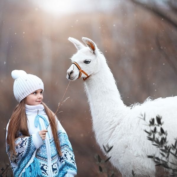 most beautiful girl in the world, russia, russian girl, russian child model, anastasia knyazeva, anna photo, instagram, instagram celeb, viral, cutest girl, kid, child