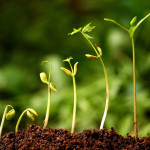 Fotolia_20130956_Subscription_Monthly_XL
