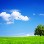 Fotolia_26886470_Subscription_Monthly_XL