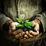 Fotolia_37954728_Subscription_Monthly_XL