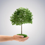 Fotolia_41560854_Subscription_Monthly_L