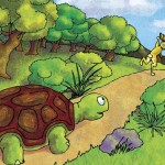 Tortoise-Hare-new-version