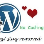 blog-slug-removed