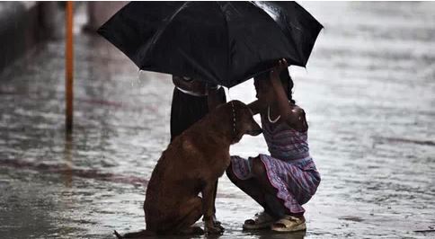 Life_Lessons_from_dogs_14