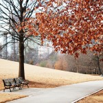 empty-fall-park
