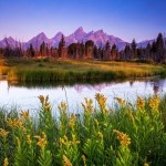 small-river-yellow-flowers-and-mountains