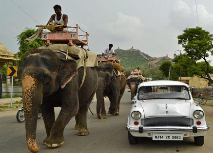 Ambassador with elephants