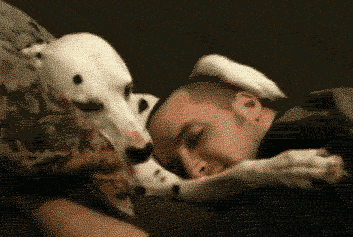 dog lover,dogs,man's best friend,dog is the man's best friend,dog’s wagging tail,go home,pets are family,cuter than babies,puppy eyes,people who are dog lovers,understand everything you say,eat, sleep and dance with your dog,your little babies,feeling low