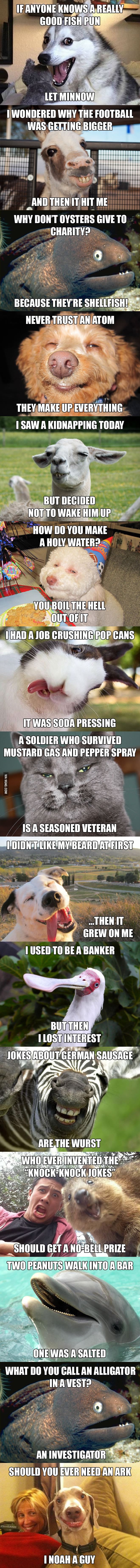 fish pun,oysters,holy water,comedy,fun,enjoy,mustard gas,german sausage,bankerark,popcorn