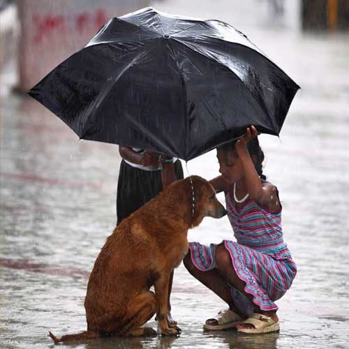 Rain lover,monsoon,rain,pakodas,coffee,soothing sound of rain,music to your ears,romance,smell,fresh and green,cozy with a book,love puddles,paper boats, water splash,heaven,beautiful rainbow,frosted window panes,mysterious dark gray clouds,first downpour