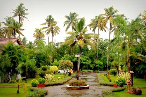 Rain lover,monsoon,rain,pakodas,coffee,soothing sound of rain,music to your ears,romance,smell,fresh and green,cozy with a book,love puddles,paper boats, water splash,heaven,beautiful rainbow,frosted window panes,mysterious dark gray clouds,first downpour