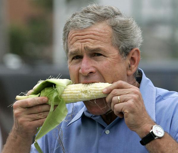 George W. Bush, pol stuffing, united states politicians, crazy photos, gut busting