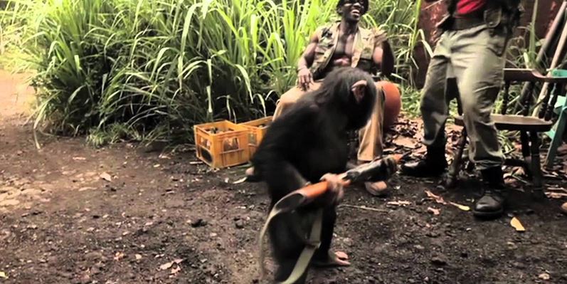 Monkey firing AK-47 between soldiers in Africa- An Analysis | Reckon Talk