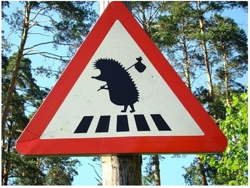 Funny signs board, russian signs board, puzzle signs board, road signs, russian road signs
