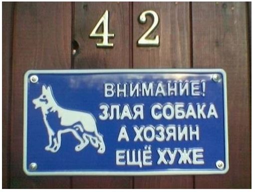 10 Russian Signs Board Look Like Puzzle For Brain | Reckon Talk