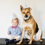 dog and baby