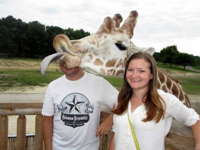animal selfie, animal photograph, photo with animals, funny animals images, funny outdoor images, selfie with pet, funny pet images, fun with animals, animal clicks, happy dogs, happy animals, how animal smile at camera, photogenic animals, animal loves camera, cute animal photos,