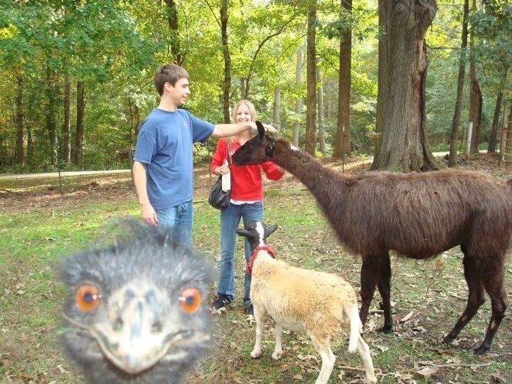 animal selfie, animal photograph, photo with animals, funny animals images, funny outdoor images, selfie with pet, funny pet images, fun with animals, animal clicks, happy dogs, happy animals, how animal smile at camera, photogenic animals, animal loves camera, cute animal photos,