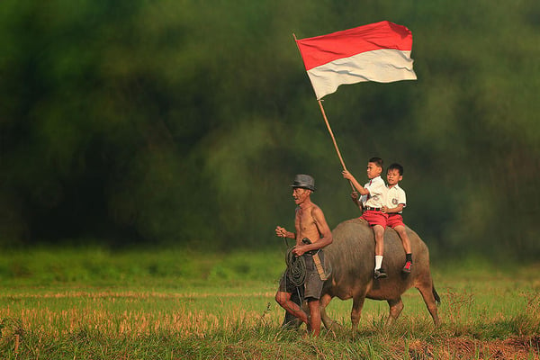 14 OMG Facts About Indonesia Funny Interesting and Weird 