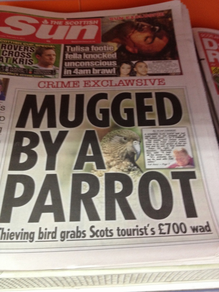 scotland culture, love scotland, i love scotland, reason to love your country, funny scotland, funny scottish, scottish peoples, how scottish behave, how scott people live