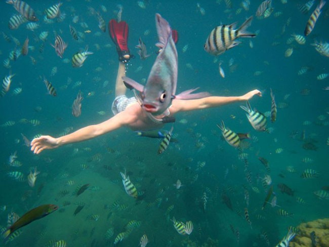 animal selfie, animal photograph, photo with animals, funny animals images, funny outdoor images, selfie with pet, funny pet images, fun with animals, animal clicks, happy dogs, happy animals, how animal smile at camera, photogenic animals, animal loves camera, cute animal photos,