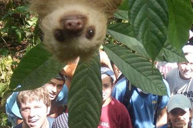 animal selfie, animal photograph, photo with animals, funny animals images, funny outdoor images, selfie with pet, funny pet images, fun with animals, animal clicks, happy dogs, happy animals, how animal smile at camera, photogenic animals, animal loves camera, cute animal photos,