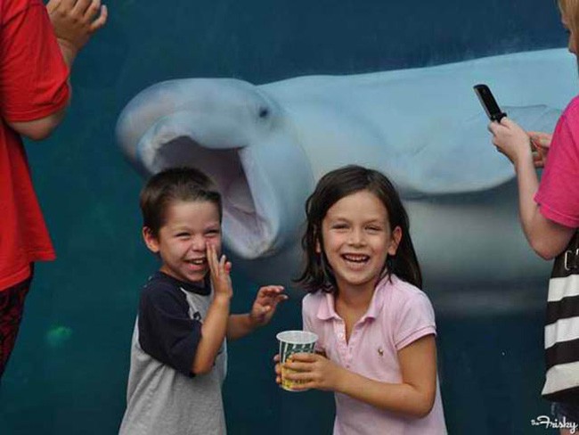 animal selfie, animal photograph, photo with animals, funny animals images, funny outdoor images, selfie with pet, funny pet images, fun with animals, animal clicks, happy dogs, happy animals, how animal smile at camera, photogenic animals, animal loves camera, cute animal photos,