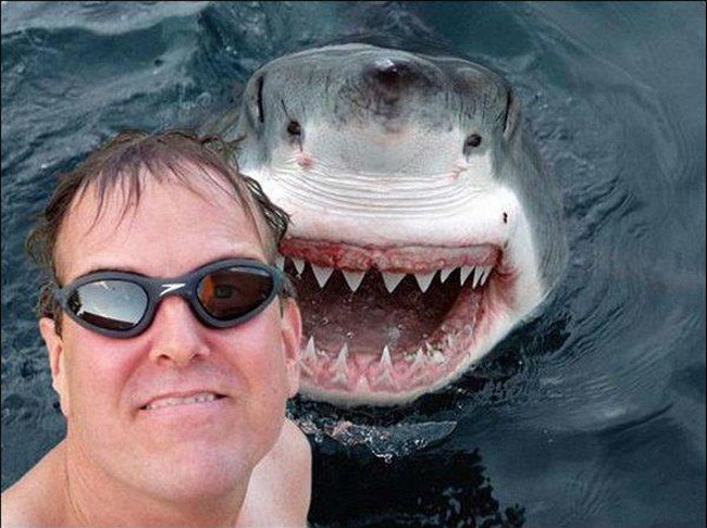 30 Hilarious Animal Photobombs, Say Cheese !! | Reckon Talk 30 Hilarious Animal Photobombs, Say Cheese !! | Reckon Talk