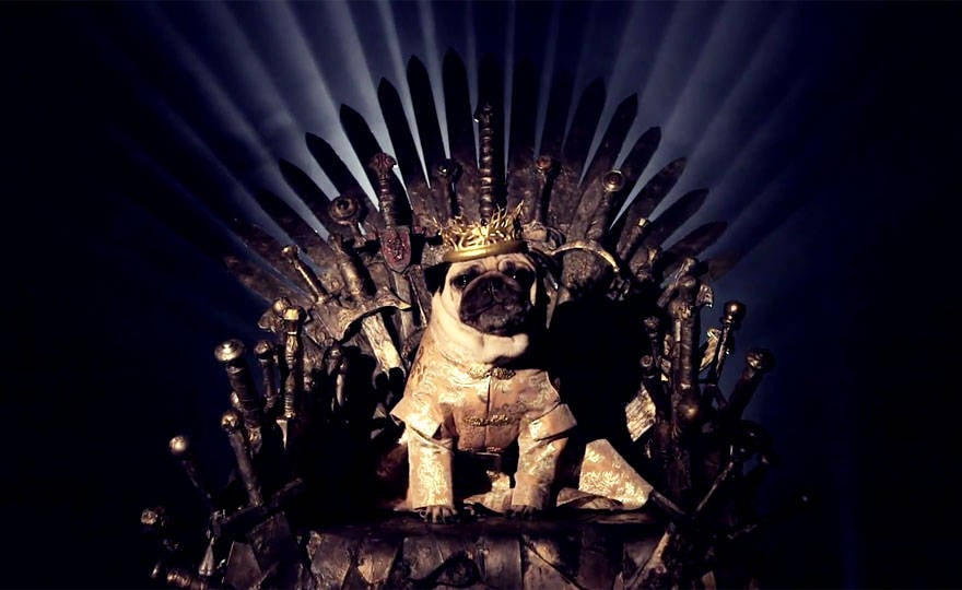 Game of thrones,got,pugs,robb stark, ned stark and jon snow,king joffrey,tyrion lannister,daeneys targaryen,grand maester pycelle and oberyn martell,petyr baelish aka littlefinger,varys,tyrion lannister, daenerys targaryen and jon snow,pugs of westeros