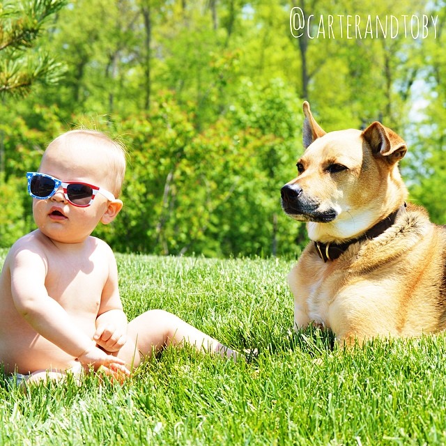 Rescue dog,cute baby,a real-life teddy bear ,affectionate and loving pup,Little Carter,Toby, a rescue dog, is sweet and affectionate ,pair are undoubtedly best friends,pretty much inseparable
