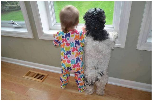 baby pics, babies, cute babies, babies friends, baby with puppy, baby with dog, baby companion, cute babies