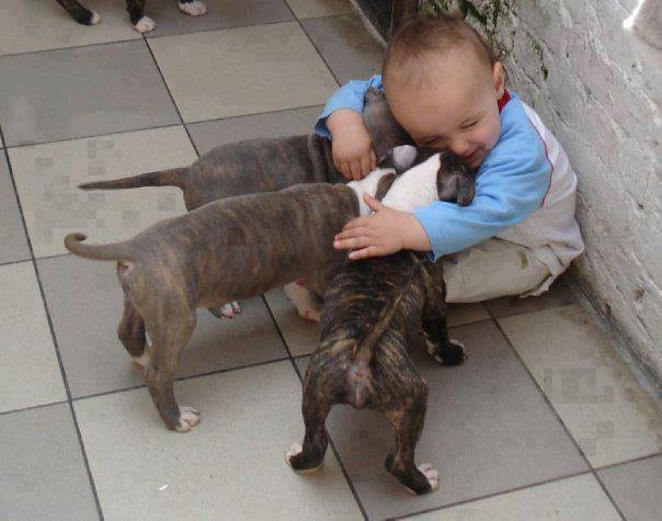 Baby pics, babies, cute babies, babies friends, baby with puppy, baby with dog, baby companion, cute babies