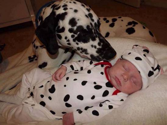 Baby pics, babies, cute babies, babies friends, baby with puppy, baby with dog, baby companion, cute babies