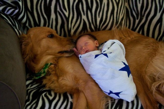 baby pics, babies, cute babies, babies friends, baby with puppy, baby with dog, baby companion, cute babies