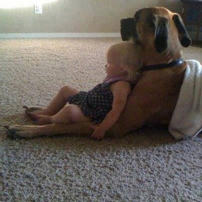 baby pics, babies, cute babies, babies friends, baby with puppy, baby with dog, baby companion, cute babies